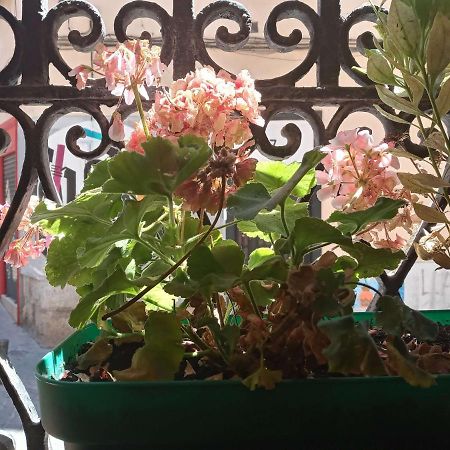 Apartamento Lavapies Al Lado Del Rastro Madrid Dış mekan fotoğraf