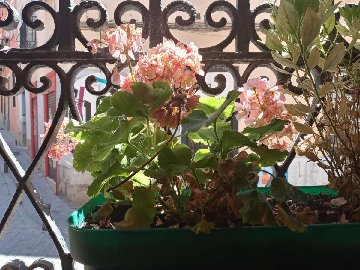 Apartamento Lavapies Al Lado Del Rastro Madrid Dış mekan fotoğraf