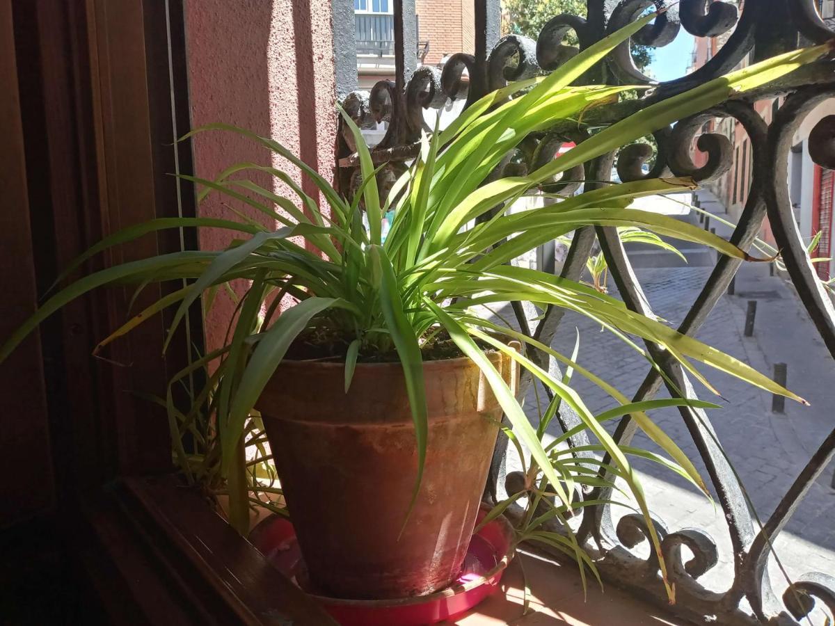 Apartamento Lavapies Al Lado Del Rastro Madrid Dış mekan fotoğraf